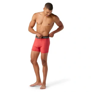 תחתוני בוקסר SMARTWOOL BOXER BOXED